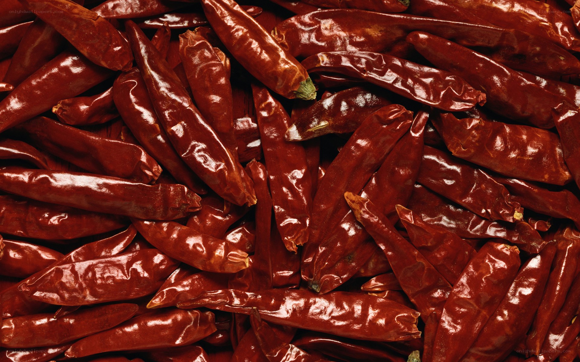 dried red chili peppers