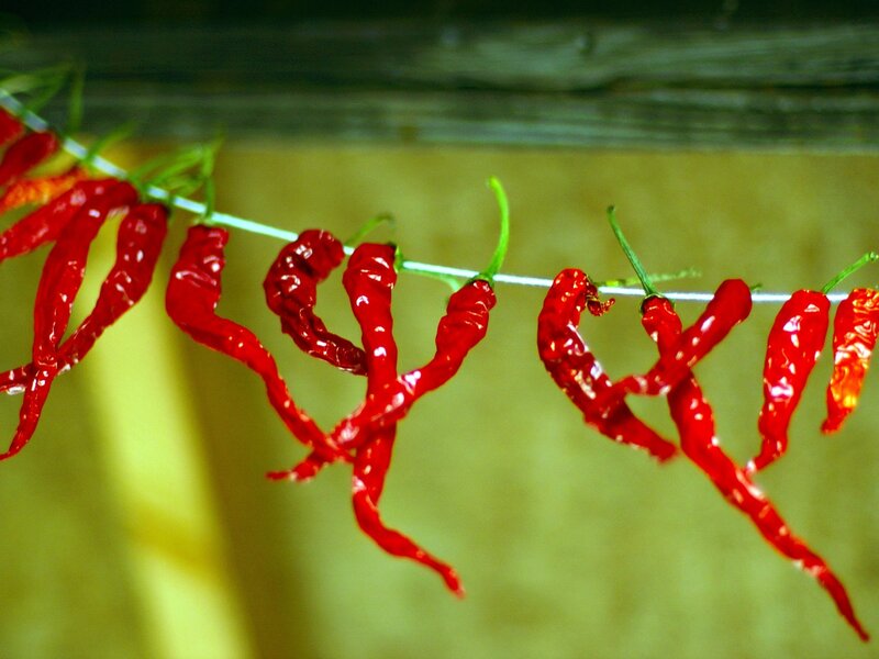 Dried Red Chili Peppers — Natural