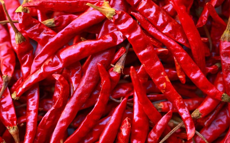 Dried Red Chili Peppers — Vibrant