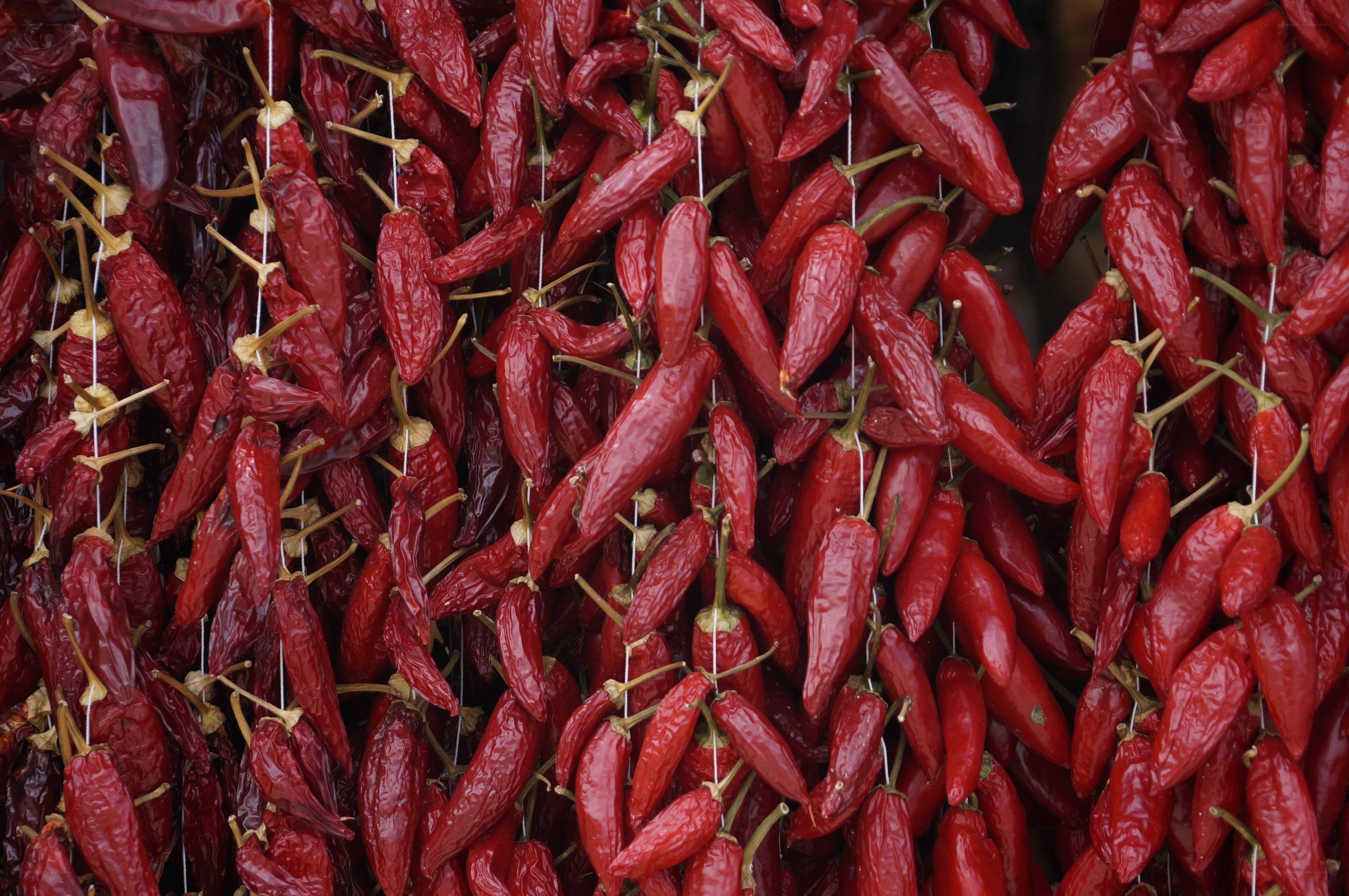 Dried red chili peppers
