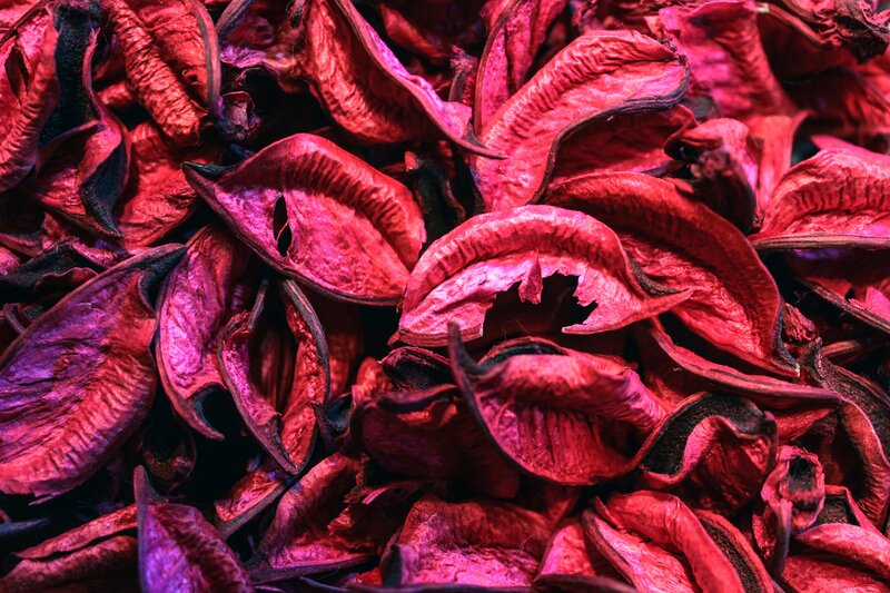 dried red flower petals