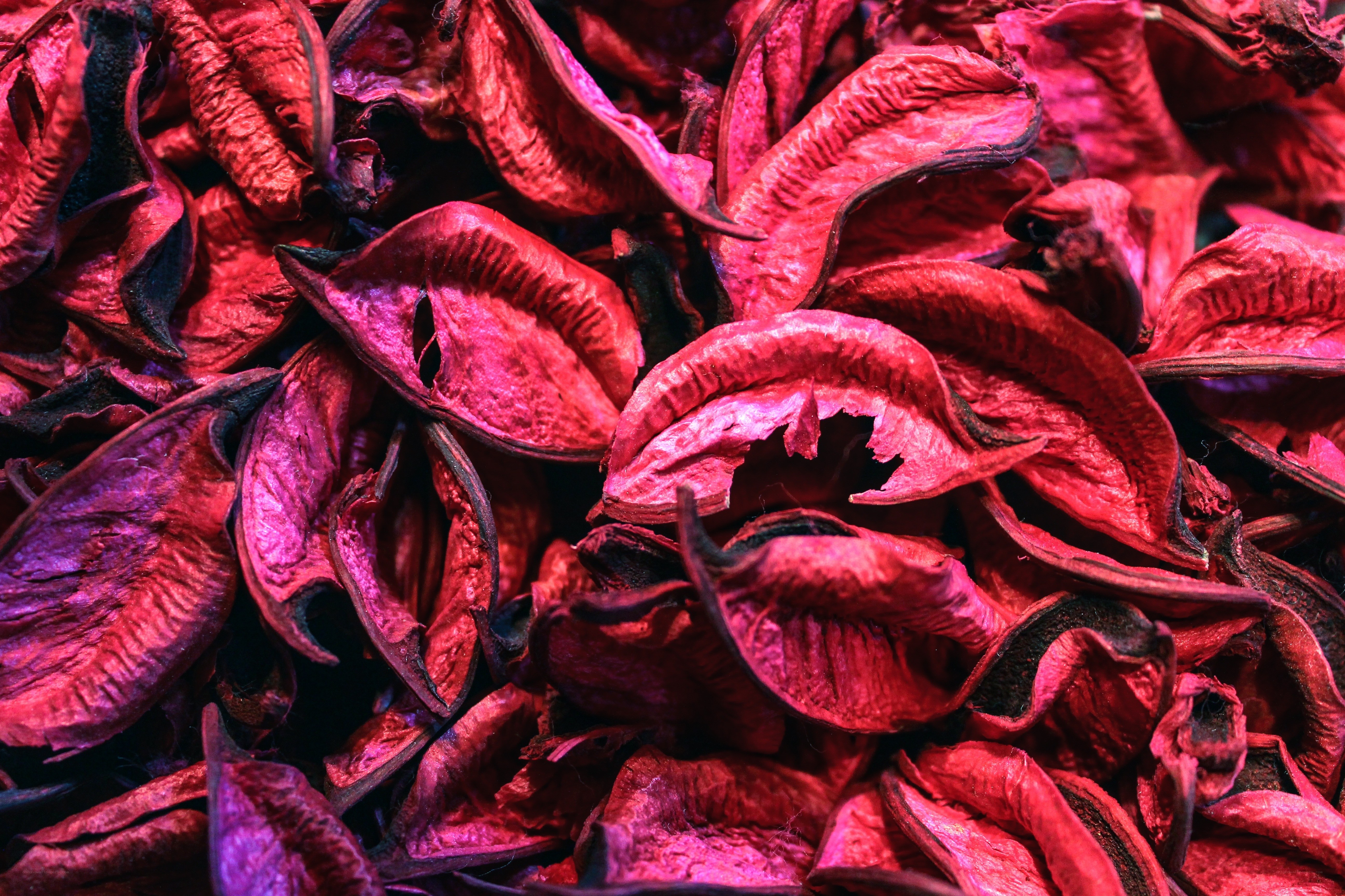 dried red flower petals