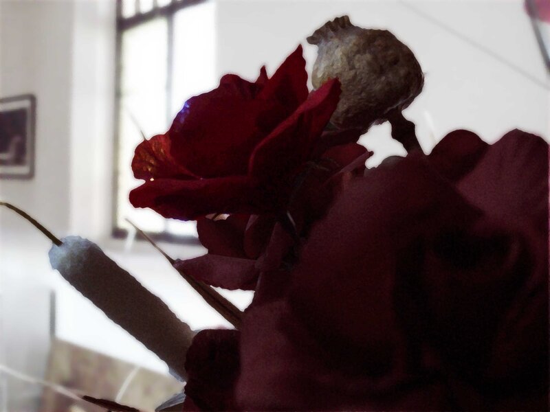 Dried Red Flower