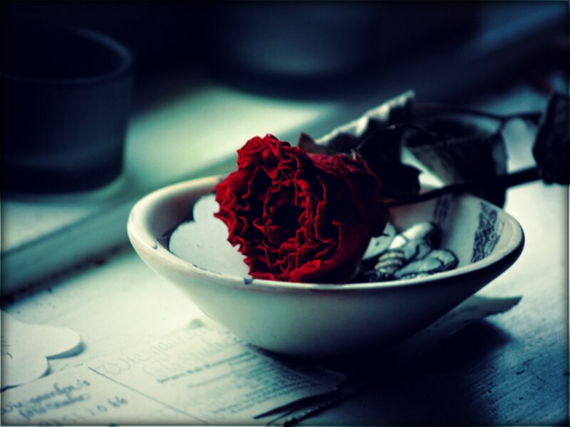 Dried Red Rose in Bowl