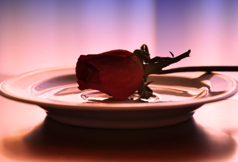 Dried Red Rose — Melancholic, Sunset