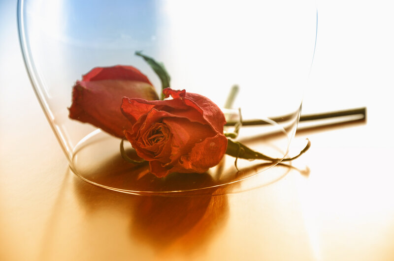 Dried Red Roses in Glass