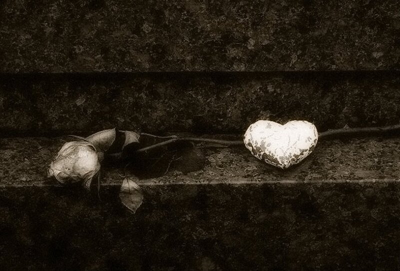 Dried Rose and Heart