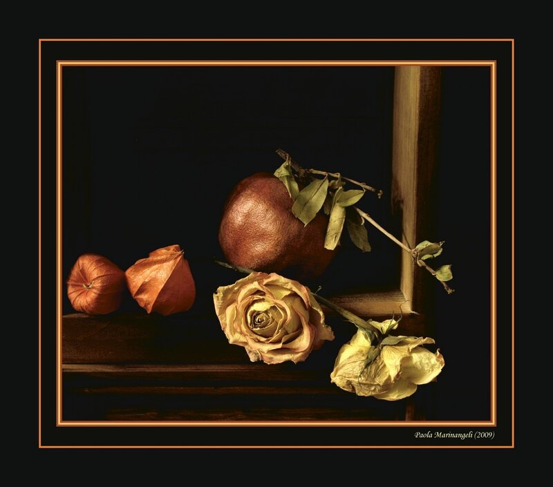 Dried Rose and Pomegranate