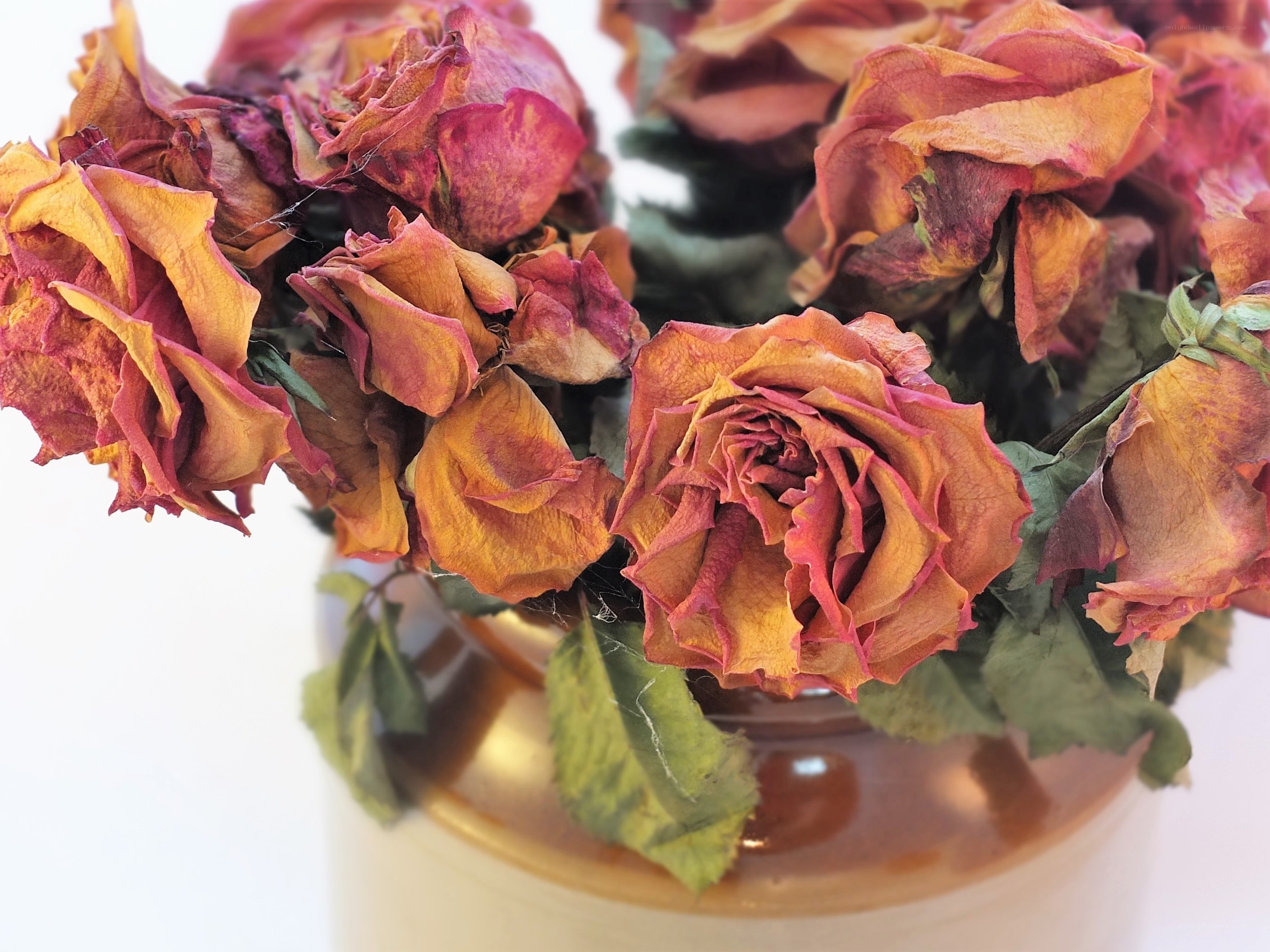 dried rose bouquet