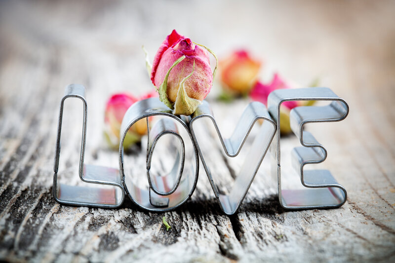 Dried Rose Bud in Love Letters