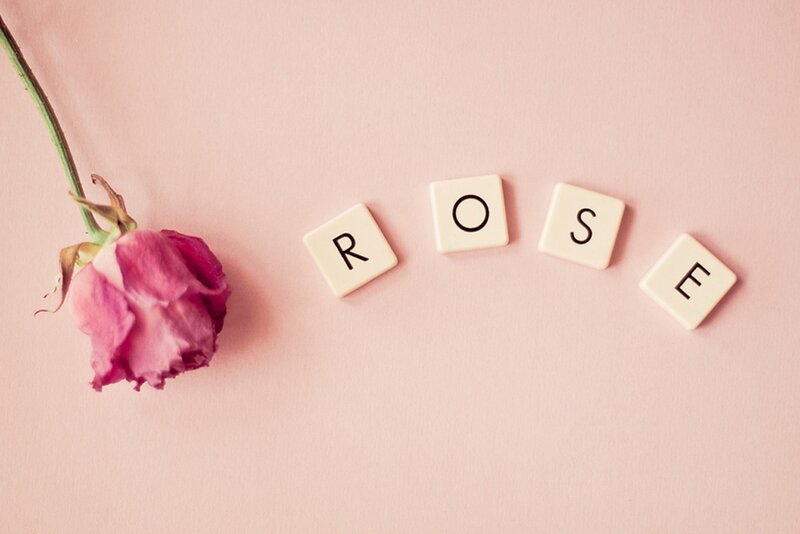 Dried Rose Flower — Pink