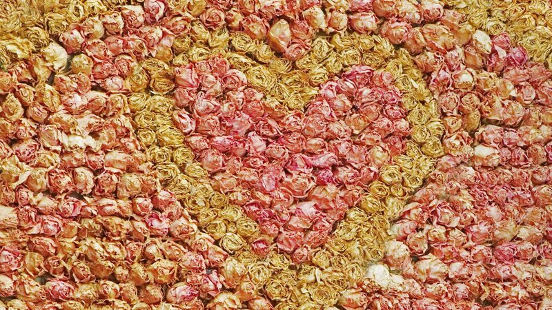 dried rose heart pattern