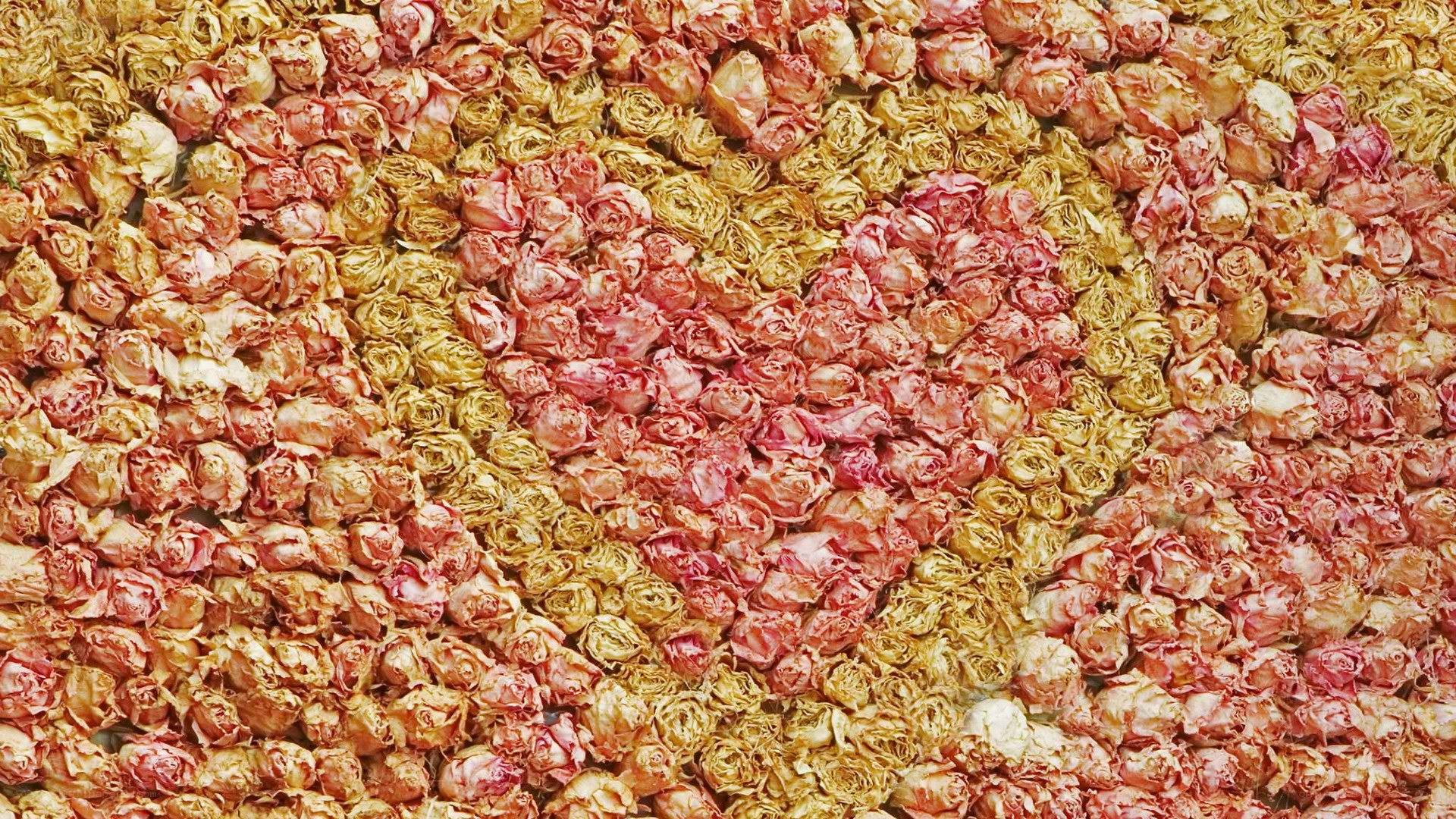 dried rose heart pattern