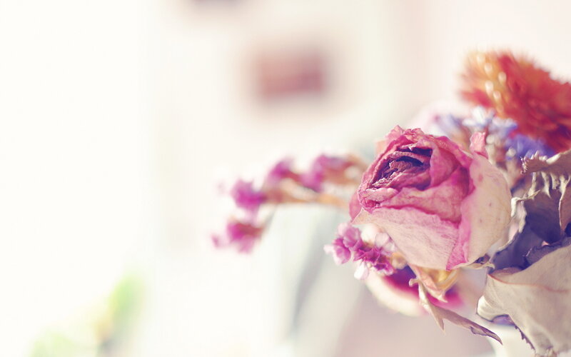 Dried Rose in Bouquet