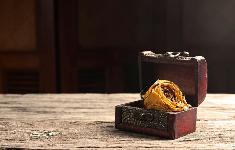Dried Rose in Box — Brown