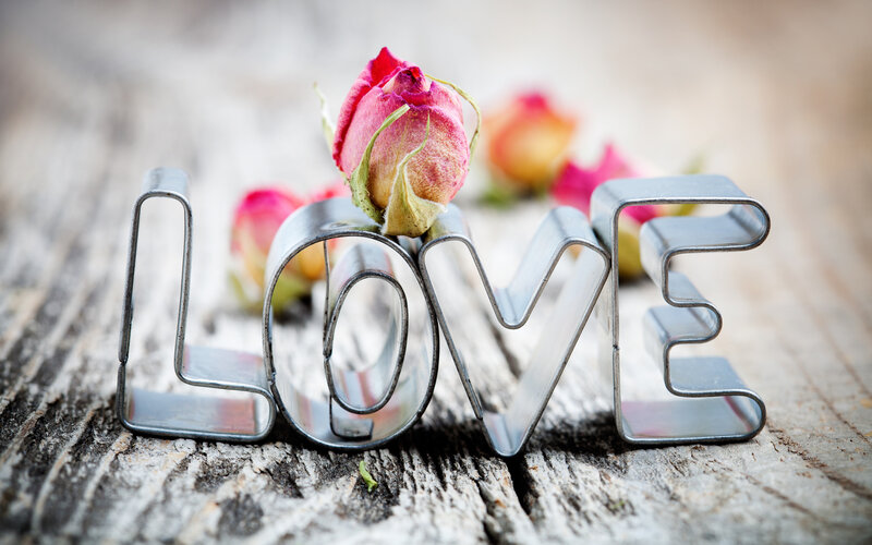 Dried Rose in Cookie Cutter