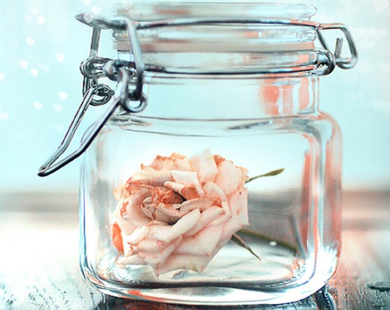 Dried Rose in Jar