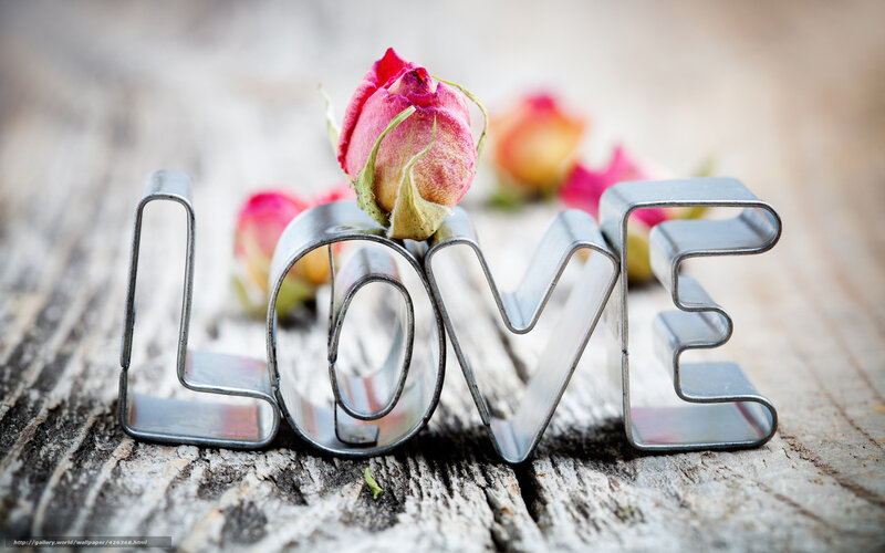 Dried Rose in Love Letters — Pink