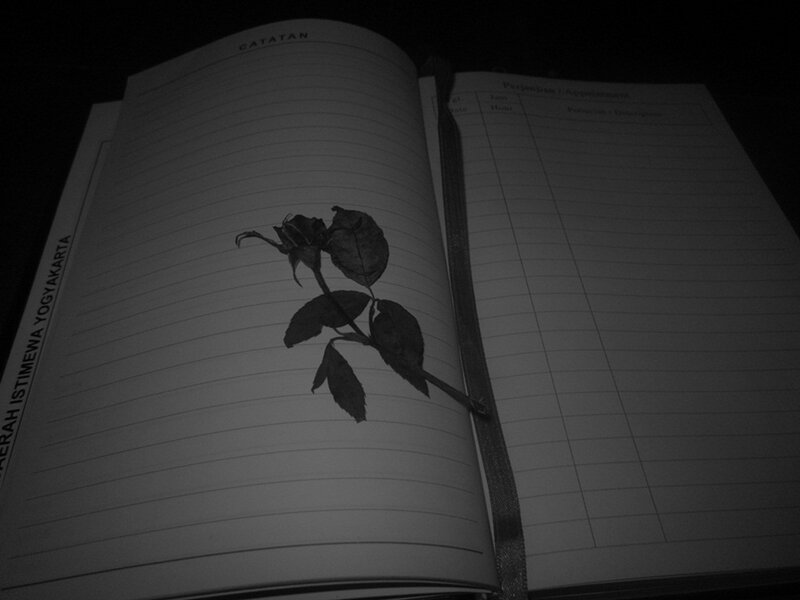 Dried Rose in Notebook