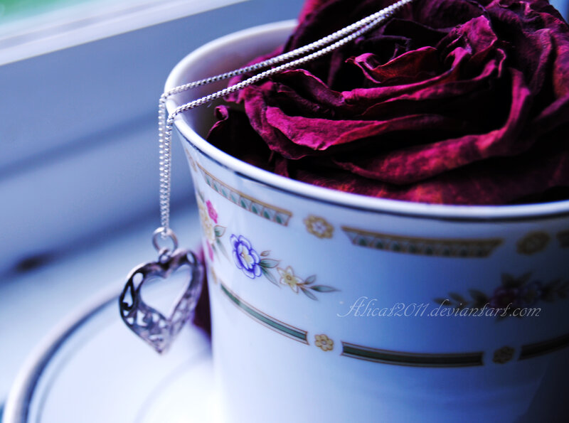 Dried Rose in Teacup — White, Serene