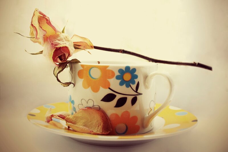 Dried Rose in Teacup — Yellow
