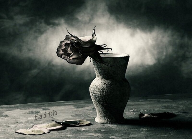 Dried Rose in Vase — Black
