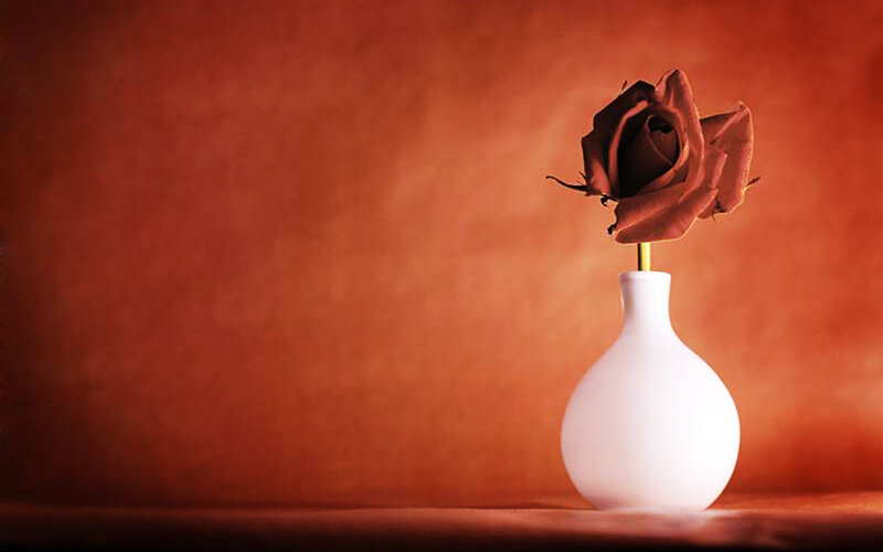 Dried Rose in Vase