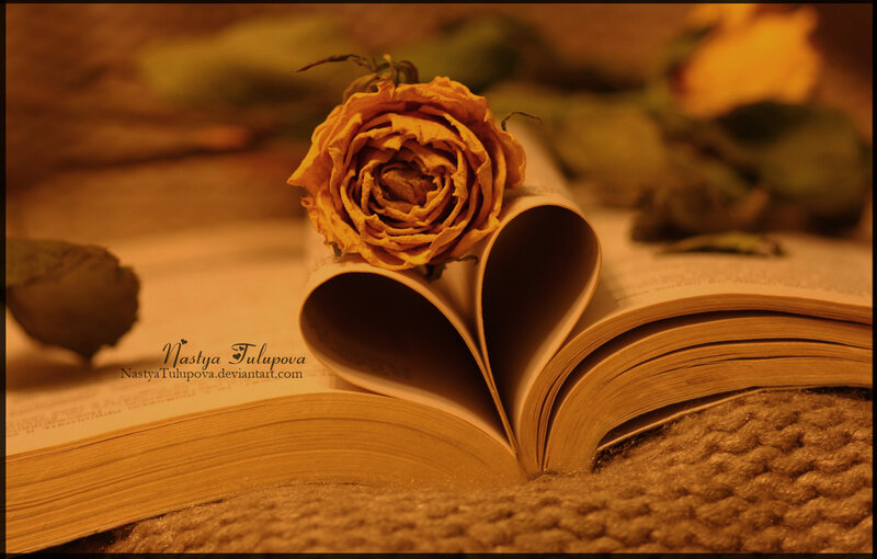 Dried Rose on Book — Brown