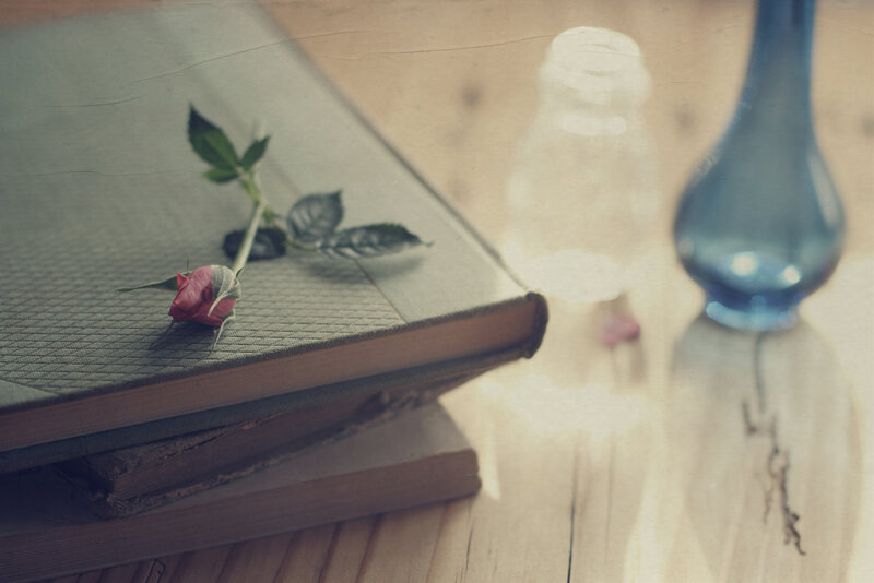 Dried Rose on Book — Green