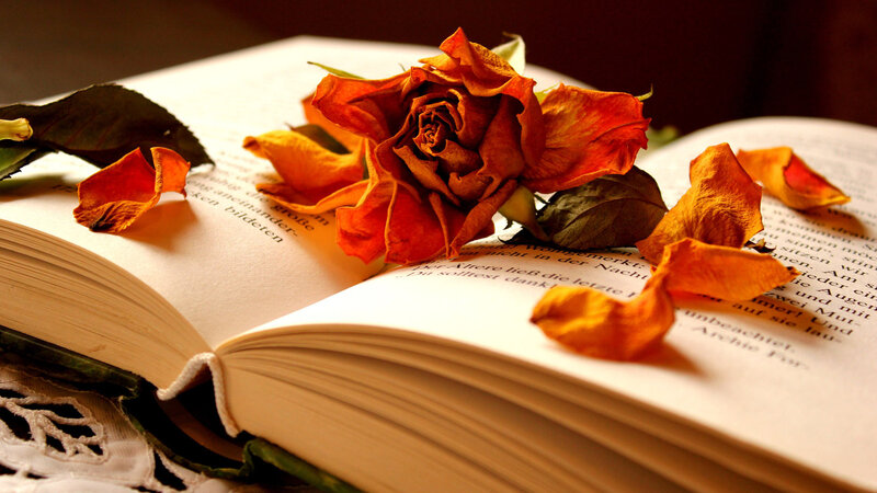 Dried Rose on Book — Orange