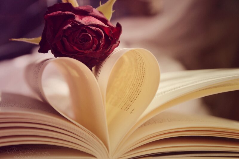 Dried Rose on Book — Red, Romantic