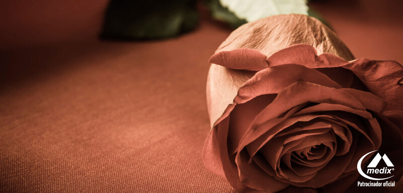 Dried Rose on Fabric