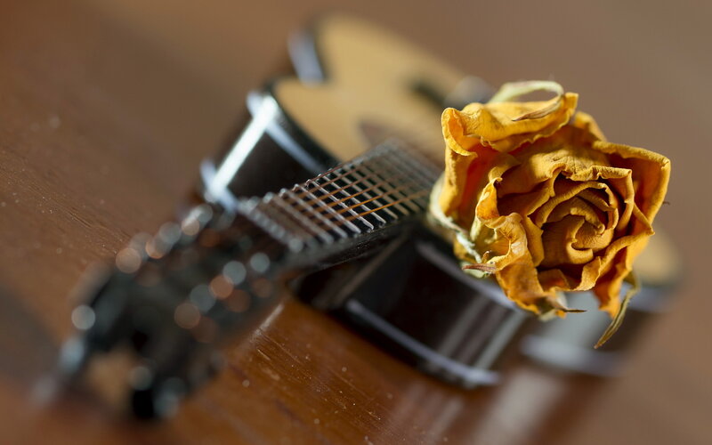 Dried Rose on Guitar