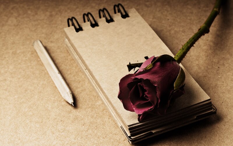 Dried Rose on Notebook — Brown