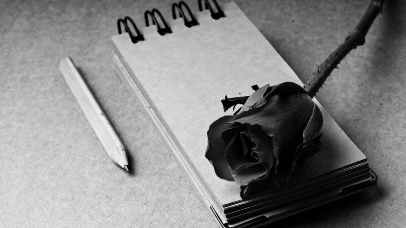 Dried Rose on Notebook