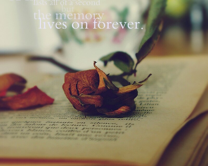 dried rose on open book