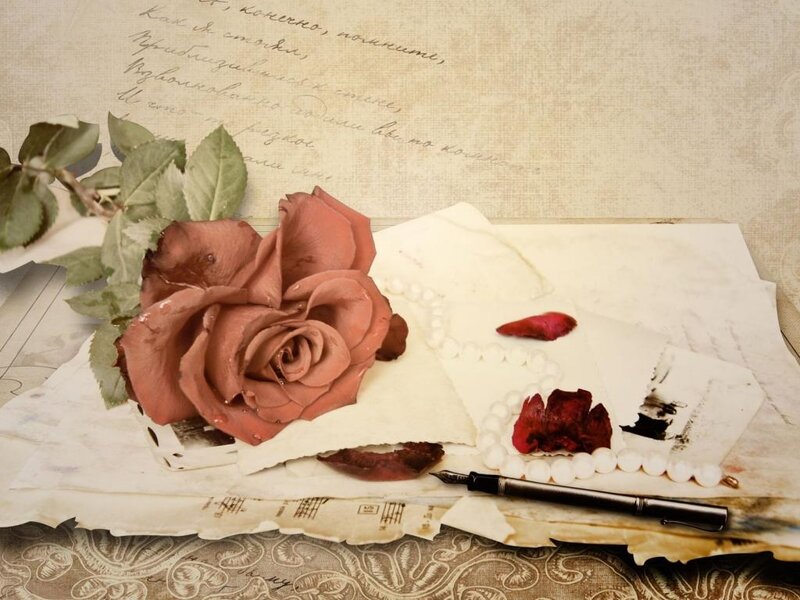 Dried Rose on Papers