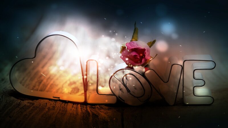 Dried Rose on Wood — Brown, Romantic