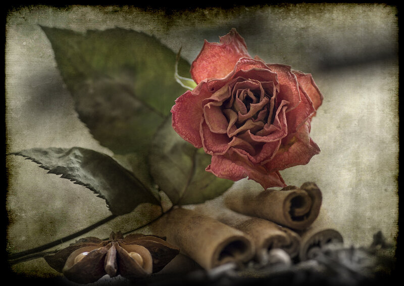 Dried Rose with Cinnamon