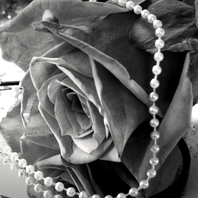 Dried Rose with Pearl Necklace