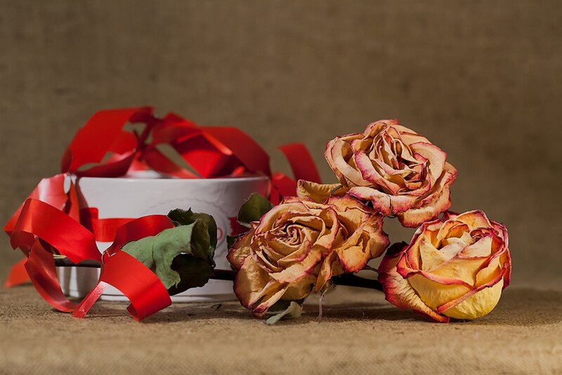 Dried Roses and Gift Box