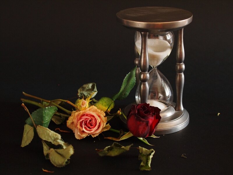 Dried Roses and Hourglass