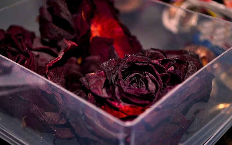Dried roses in a container