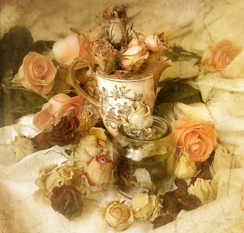 Dried Roses in a Pitcher