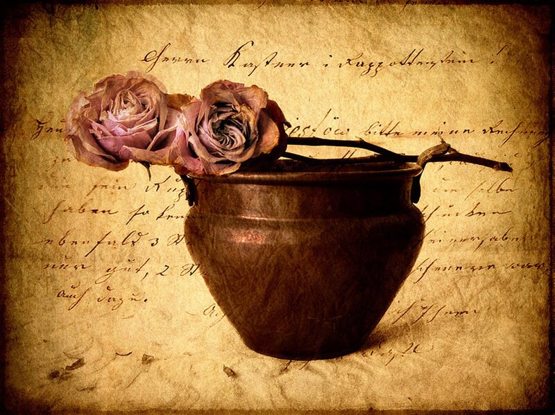 Dried Roses in a Vase