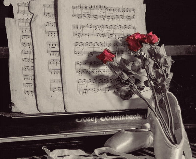 Dried Roses in Ballet Shoes