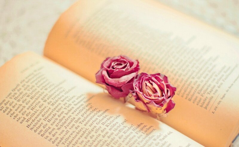 Dried Roses in Book