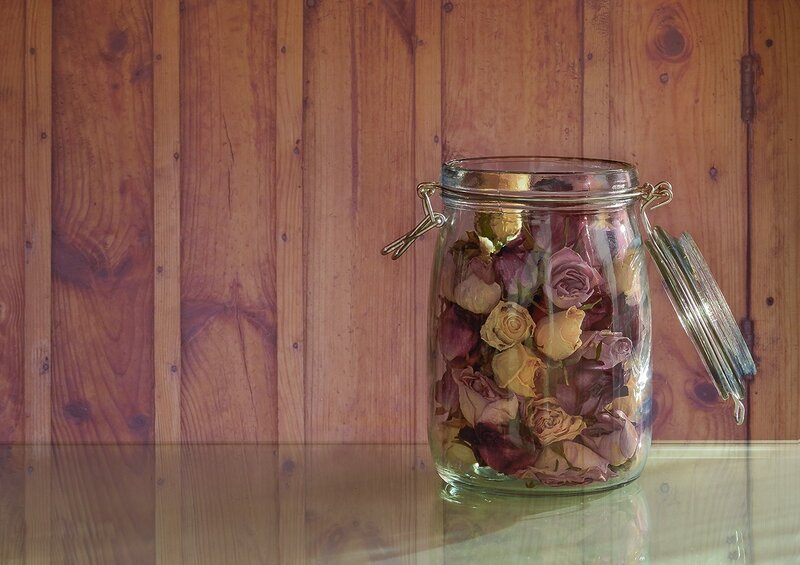 Dried Roses in Jar — Brown