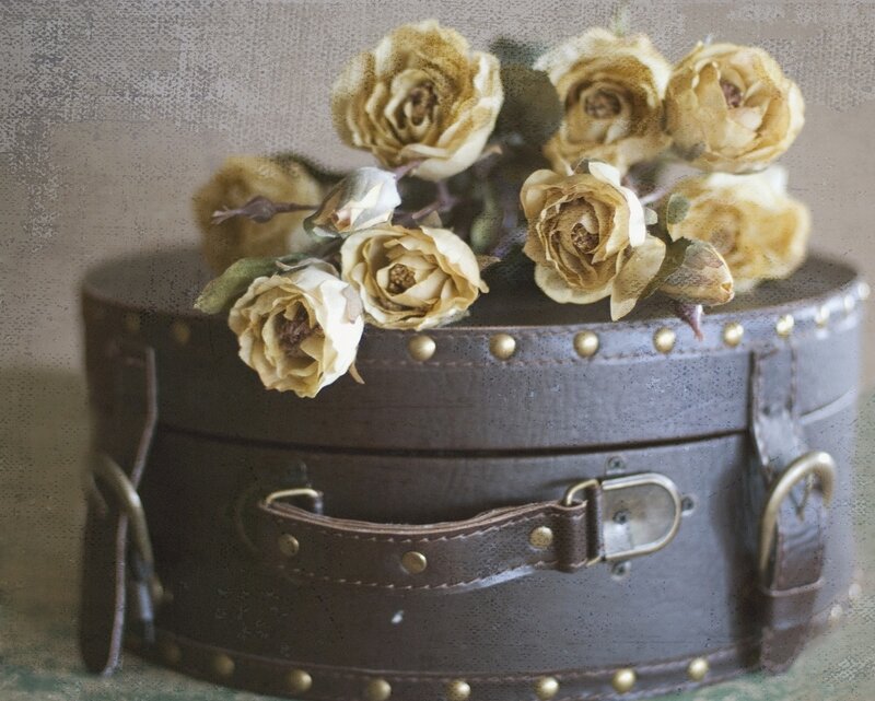 Dried Roses in Suitcase