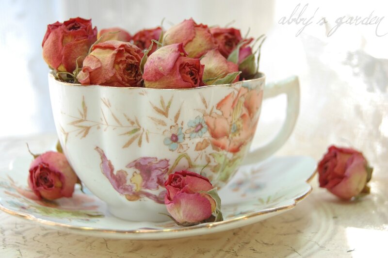 Dried Roses in Teacup